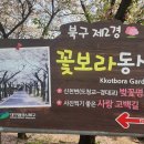 꽃보라동산 이미지