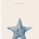 THE STAR | Let the star shine🌟 ft. Mr.Aang의 세션 후기