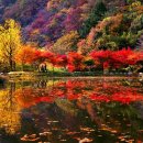 천지세탁 이미지