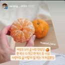 라포르하례 이미지