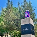 헤어 봄 이미지