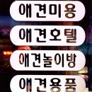 퀸펫살롱 | 단구동애견미용 / 퀸펫살롱