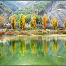이삼공원 이미지