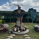 아프리카 당구장 | 케냐 마사이마라 사파리 투어 숙소 후기