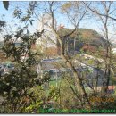 한마음새마을금고주유소 이미지