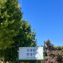 탕웨이도 다녀간 양평 한정식 맛집 오찬회동 정상회담 후기