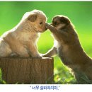 011-1 이미지