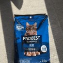 베스트 캣 | 고양이 사료 추천, 가성비 좋은 프로베스트 캣 블루 사료 급여 후기🐈👍(내돈내산 추천용)