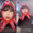 문어의꿈 이미지