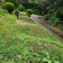 양평공설공원묘지 | 활초공설묘지 화성시 남양읍 활초리 산159-2 묘지현황