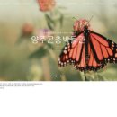 양주곤충박물관 이미지