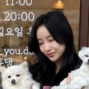 포유댕 이미지