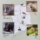 국립공원공단 국립공원야생생물보전원 야생동물의료센터 | 경북 영주 아이랑 가볼만한 곳 여우를 만날 수 있는 국립공원야생생물보전원 중부보전센터