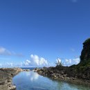 행복한동행 LTA 두번째이야기 | 괌 신혼여행 6박7일 (5일차)/괌 남부투어/켈리네 남부투어 내돈내산 후기/괌켈리네