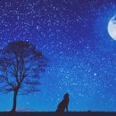 고래놀이터 이미지