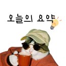 아방인테리어