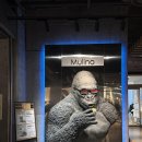 용산-436 | 용산역카페추천 뮬리노 용산아이파크몰점 내돈내산 후기