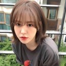 윈드헤어 이미지