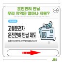 세븐일레븐 파주적성점 | 운전면허 반납 지원금, 얼마 받고 어떻게 신청하나요?