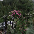 산속의정원 이미지