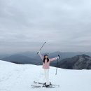 (주)무주덕유산리조트 | 무주스키장, 무주덕유산리조트 스키장 후기