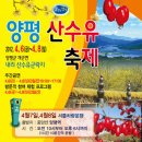 04/08일 양평산수유축제 및 추읍산 산행 이미지