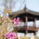 산사람 Daum카페