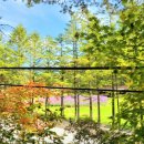 버들목장 이미지