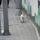 파리바게뜨 신만덕점 이미지