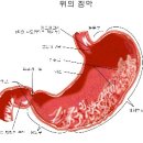 강변내과의원 이미지
