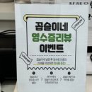 꼽슬이네 이미지