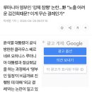 루마니아 영부인 '강제 잠행' 논란…野 "노출 어려운 검건희때문? 이게 무슨 결례인가" 이미지