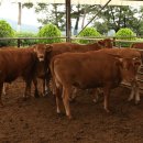 광희 농가 이미지