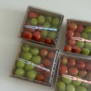 놀러왕왕왕 이미지