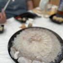 신화동문어