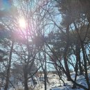 이장천약수터 이미지