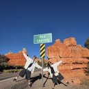 캐빈리조트민박 | 미국 그랜드캐년 투어///포시즌 리조트 [1박2일/독채캐빈+별장+카라반] 은하수+그랜드캐년 6대명소...