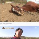 진강