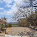 영인산자연휴양림 숲속야영장 이미지