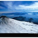 스타미용실 이미지