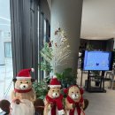 내리사랑 | 나인트리호텔 돌잔치(하이비스 레스토랑) &amp; 내리사랑 돌상 후기