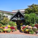 타샤의 정원 이미지