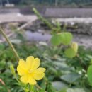 석골농장 이미지