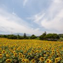 번영로농장 이미지