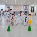 금곡태권도장 이미지