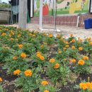 대신마을회관 이미지