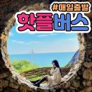 갯배 | 속초 역사 경험 가능한 갯배타고 속초중앙시장 방문 체험후기
