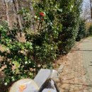 GS25 전포제일점 이미지