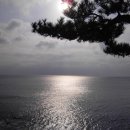 번지없는주막 이미지