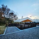 여가 | 반려동물 동반 오수의견국민여가캠핑장 후기